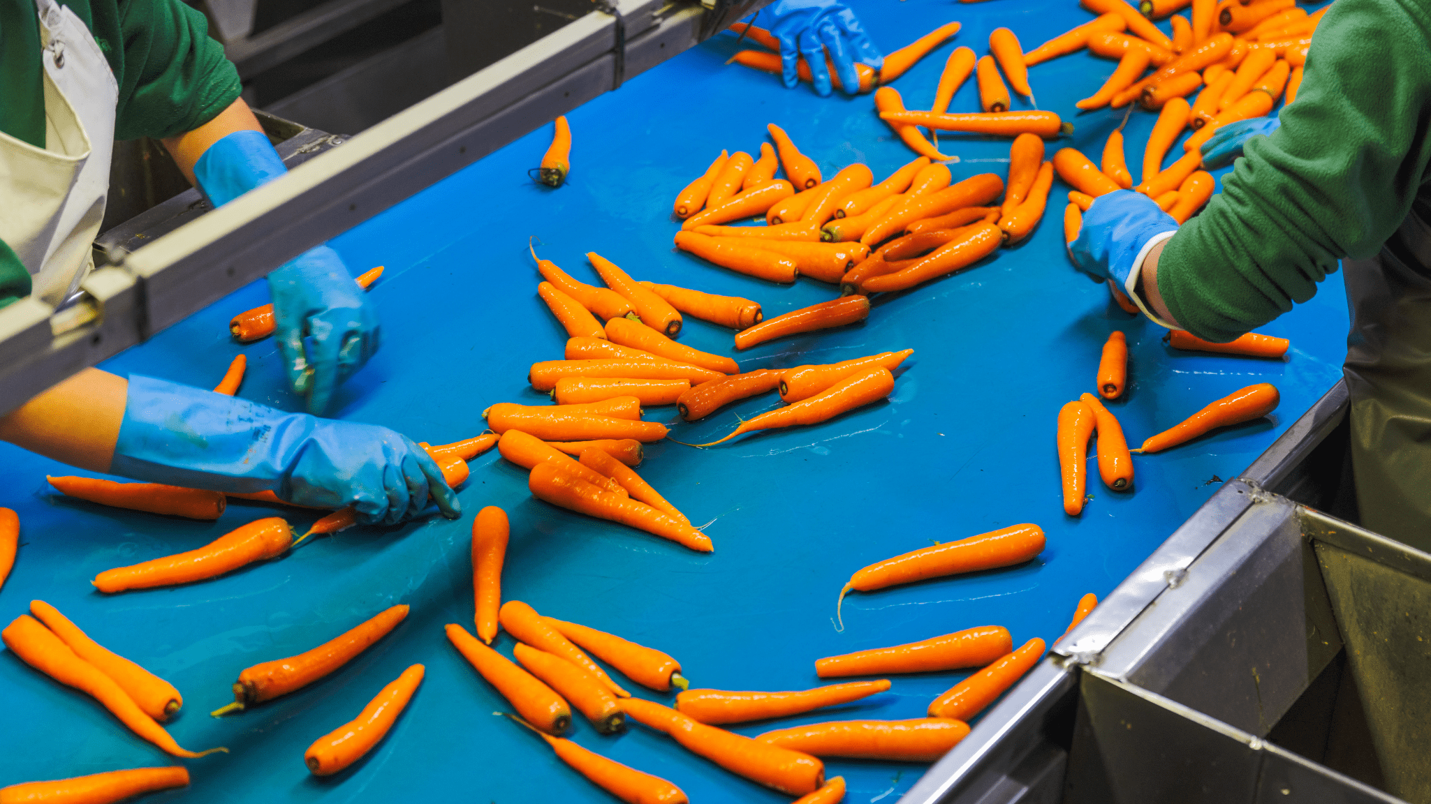 untitled (website) 2