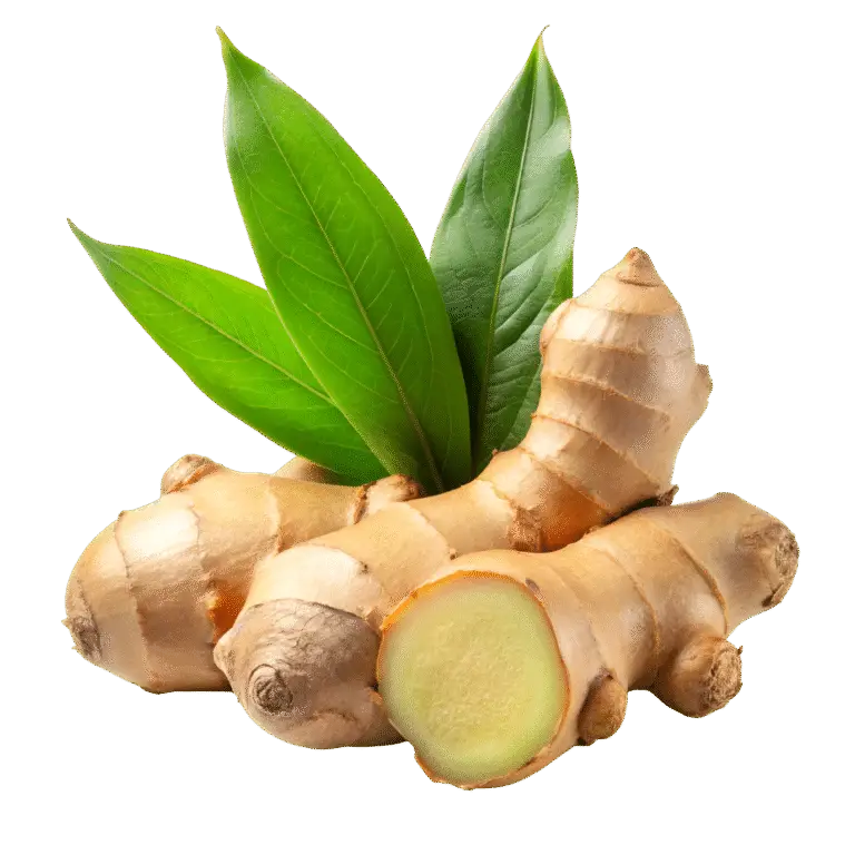 Home —pngtree—ginger rhizome and sliced with 16615475